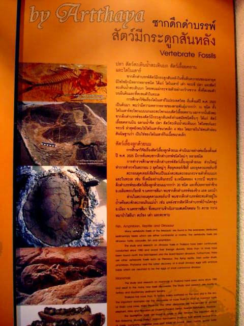 Museum224.JPG